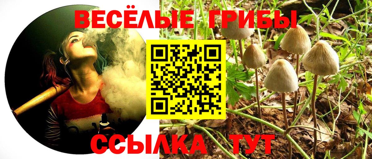Фурманов  Галлюциногенные грибы мицелий  Псилоцибиновые грибы ЛСД  Вход с VPN 