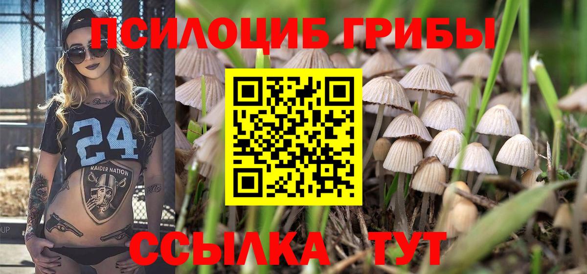 Галлюциногенные грибы мицелий Фурманов